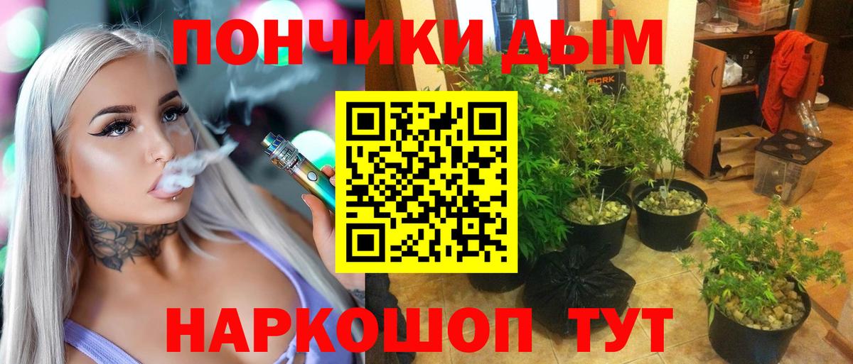 Вышний Волочёк  МАРИХУАНА сатива  Шишки марихуана конопля  Вход с VPN  Шишки марихуана VHQ 